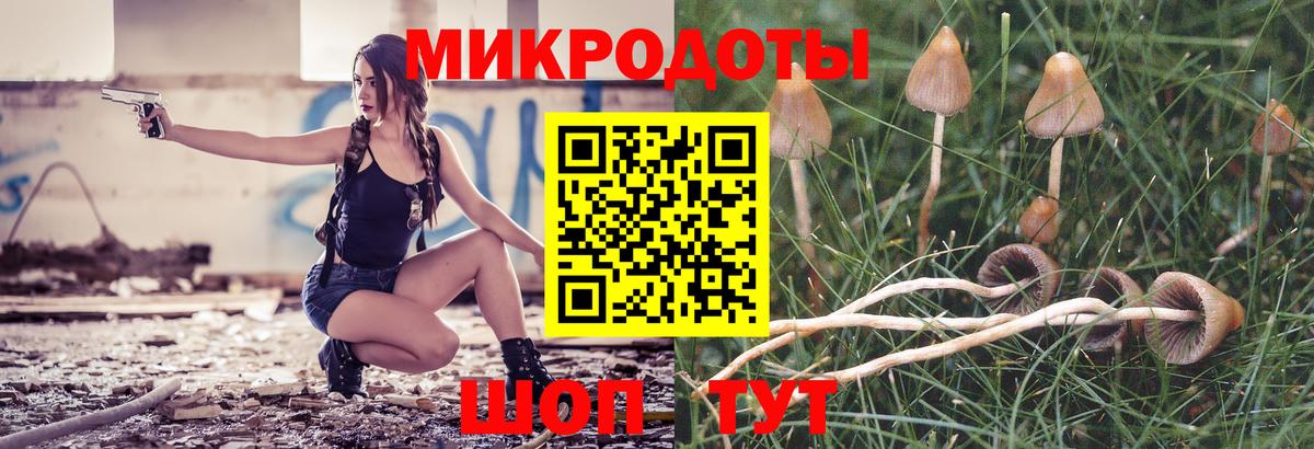 Псилоцибиновые грибы ЛСД Чебоксары